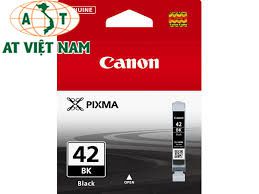 Mực máy in màu Canon PIXMA PRO-100 CLI-42BK