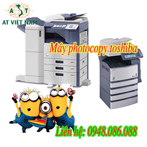2118chon-giay-cho-may-photocopy-toshiba-1.png